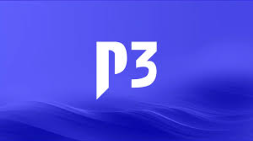 P3 Group
